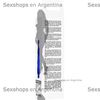 Estimulador femenino con 10 modos de vibracion
